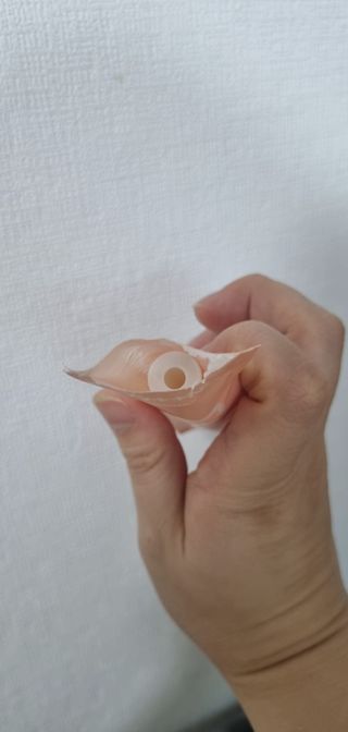 한시츄님이 올린 리뷰 사진 1