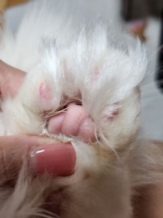 켈리심님이 올린 리뷰 사진 3