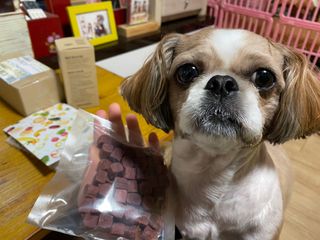 My Pet Care 천연단백질 눈건강에 개좋아 — 5점을 준 리뷰어가 2021년 2월 올린 사용 사진