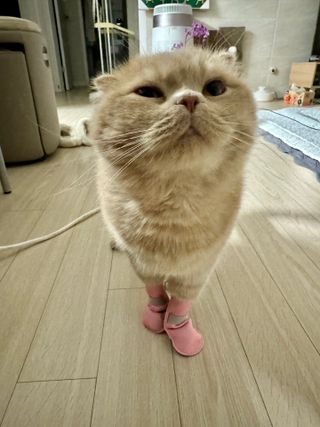 flowerblooming님이 올린 리뷰 사진 3