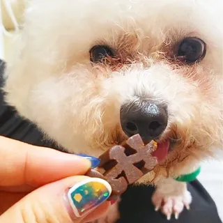 쁘띠피츄님이 올린 리뷰 사진 3