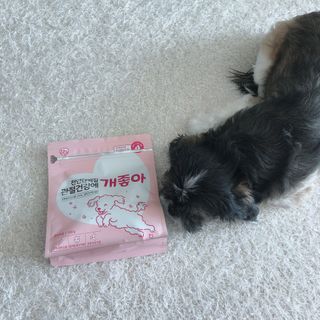 My Pet Care 천연단백질 관절건강에 개좋아 — 5점을 준 리뷰어가 2021년 1월 올린 사용 사진
