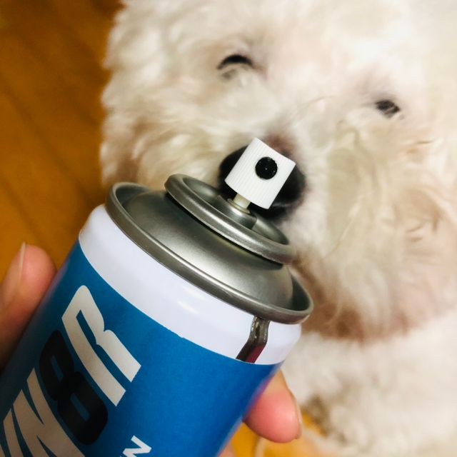 5.5OZ 방수 보호 스프레이 리뷰 사진