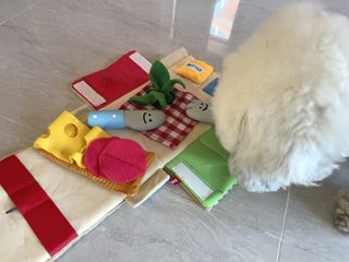 로또누나님이 올린 리뷰 사진 3