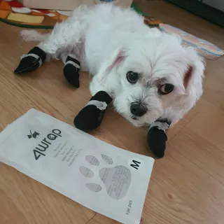 여늬님이 올린 리뷰 사진 2