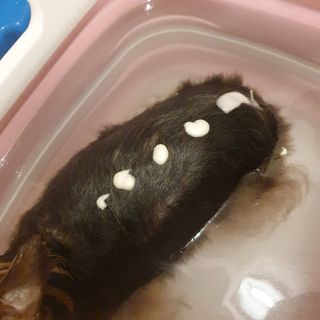 솜희님이 올린 리뷰 사진 3