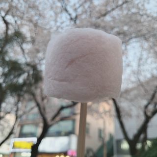 지니야님이 올린 리뷰 사진 2