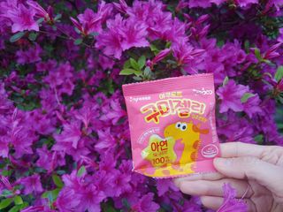 갱이님이 올린 리뷰 사진 1