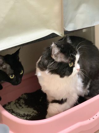 햇태야요님이 올린 리뷰 사진 3