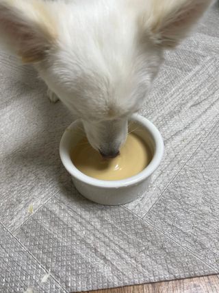0.8L 마케팅팀 - — 5점을 준 리뷰어가 2021년 5월 올린 사용 사진