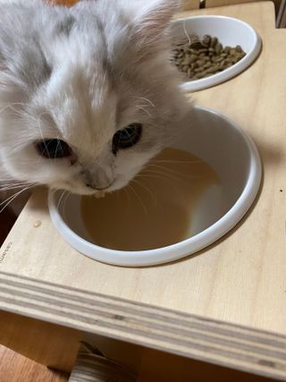 soo님이 올린 리뷰 사진 3
