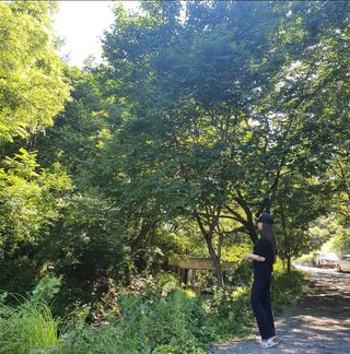 밍기님이 올린 리뷰 사진 1