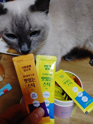 페페로니 맛있는 스틱 - 무항생제 닭고기 15개 + 원양선 참치 15개 — 4점을 준 리뷰어가 2021년 9월 올린 사용 사진