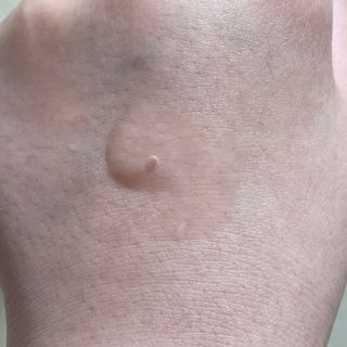토리님이 올린 리뷰 사진 3