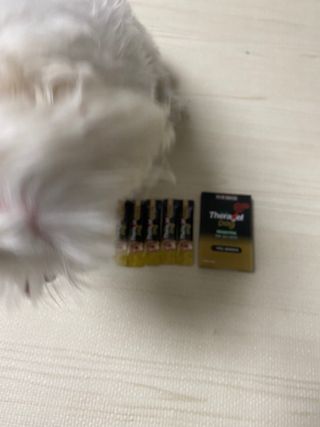 민트랄라님이 올린 리뷰 사진 3