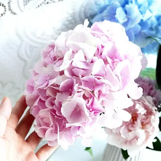 은공님이 올린 리뷰 사진 3