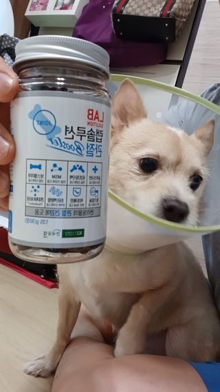 유나대디 임정환님이 올린 리뷰 사진 4
