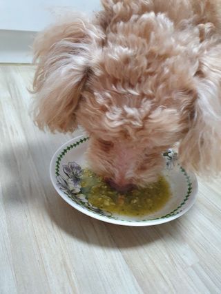 베이컨박스 [BACON] 강아지 수제간식 간편 동결건조 스튜 2종 - 황태, 초록 홍합 — 4점을 준 리뷰어가 2021년 1월 올린 사용 사진