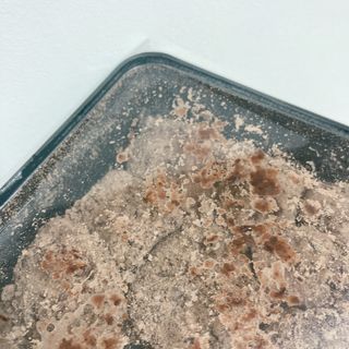 프로밍님이 올린 리뷰 사진 4