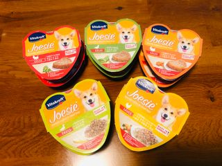비타크래프트 조에시 하트캔 85g 강아지 습식캔 10캔 — 5점을 준 리뷰어가 2021년 9월 올린 사용 사진