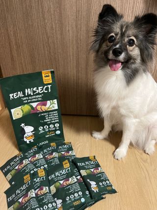 [푸디웜] 라포그  리얼인섹트 웨이트밸런스 저알러지 강아지 사료  1.2KG — 4.5점을 준 리뷰어가 2022년 7월 올린 사용 사진