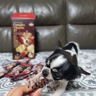 썽이mom앙꼬님이 올린 리뷰 사진 1