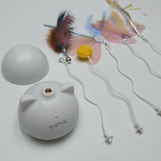 Dal님이 올린 리뷰 사진 4