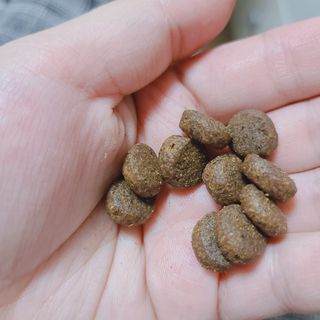 슝늉님이 올린 리뷰 사진 3