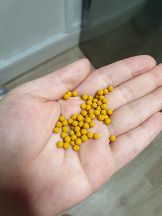 태훈맘님이 올린 리뷰 사진 3