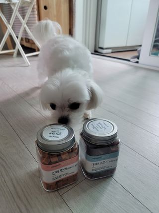 페페로니 진짜 오메가3 연어+소고기 180g+180g — 5점을 준 리뷰어가 2021년 7월 올린 사용 사진