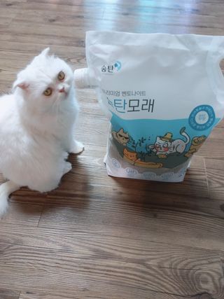 좋아님이 올린 리뷰 사진 3