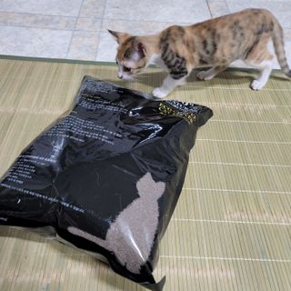 망구님이 올린 리뷰 사진 2