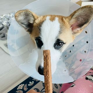 봉자맘님이 올린 리뷰 사진 2