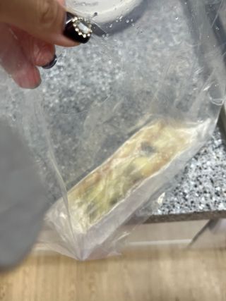 [푸딩팩토리] 싱글팩토리 피도그 100g x 3ea (불고기/콤비네이션/핫치킨) — 5점을 준 리뷰어가 2022년 9월 올린 사용 사진