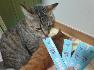5냥2멍님이 올린 리뷰 사진 3