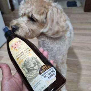 기린짱맘님이 올린 리뷰 사진 3
