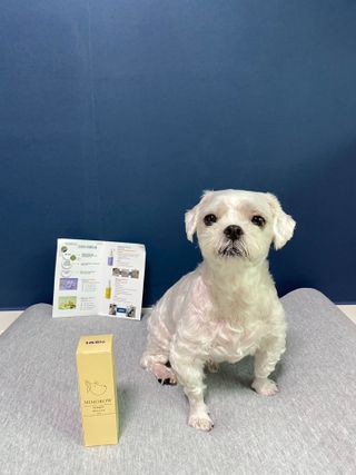 콩이님이 올린 리뷰 사진 2