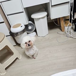쌤님이 올린 리뷰 사진 4