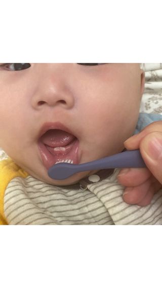 슈슈맘님이 올린 리뷰 사진 3