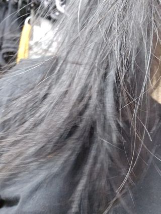 카포님이 올린 리뷰 사진 1