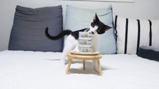 manu님이 올린 리뷰 사진 3