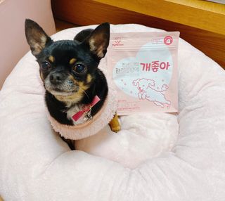 My Pet Care 천연단백질 관절건강에 개좋아 — 5점을 준 리뷰어가 2020년 12월 올린 사용 사진