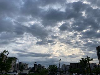 쏘쏘님이 올린 리뷰 사진 2