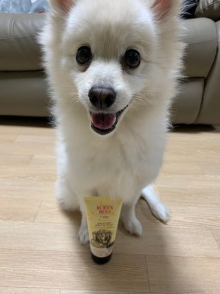 코린이님이 올린 리뷰 사진 2