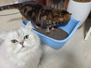 나윤나윤님이 올린 리뷰 사진 3