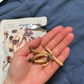 쁘니뷰티님이 올린 리뷰 사진 4