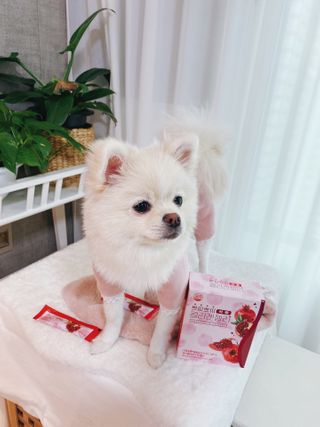 헬스업_쁘띠쁘띠석류콜라겐젤리_20g x 14포 — 4점을 준 리뷰어가 2021년 2월 올린 사용 사진