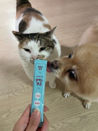 페페로니 잘 먹는 캣츄 - 원양선 참치 24개입 — 5점을 준 리뷰어가 2021년 10월 올린 사용 사진