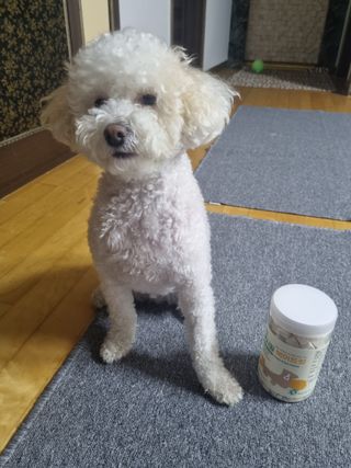 [펫시밀] 원물그대로 영양듬뿍 진공동결건조 북어트릿75g,치킨트릿100g,연어트릿75g 강아지 고양이 간식 — 5점을 준 리뷰어가 2023년 5월 올린 사용 사진