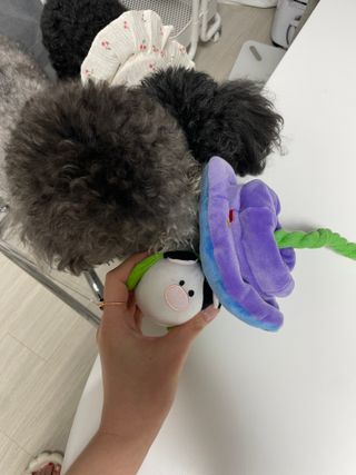 won0님이 올린 리뷰 사진 2